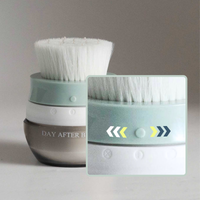 Refurbished Day After™ Brush